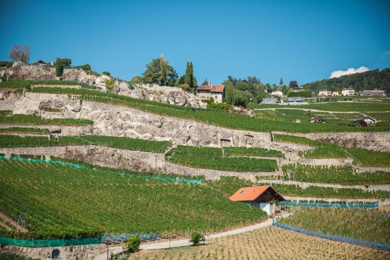 Auberge De Rivaz Exteriér fotografie